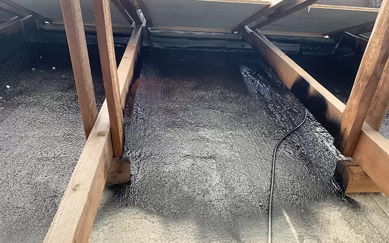 Alpha reference 3 Flydende dampspærre på loft